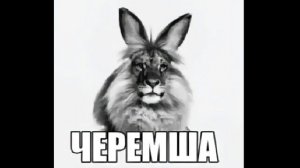ЧЕРЕМША - мем, оригинал