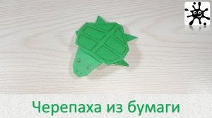 Черепаха из бумаги. Как сделать черепаху из бумаги