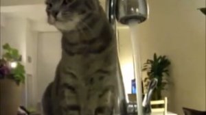 Песня про похмелье похмельная  ПРИКОЛ