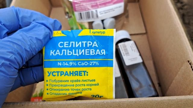 КАЛЬЦИЙ по листу 25.05.24 в теплице смотреть онлайн