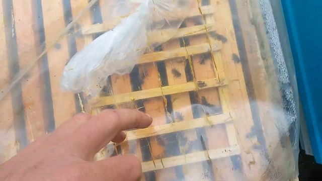 Дополнение к видео о профилактике от болезней пчел + с? смотреть онлайн