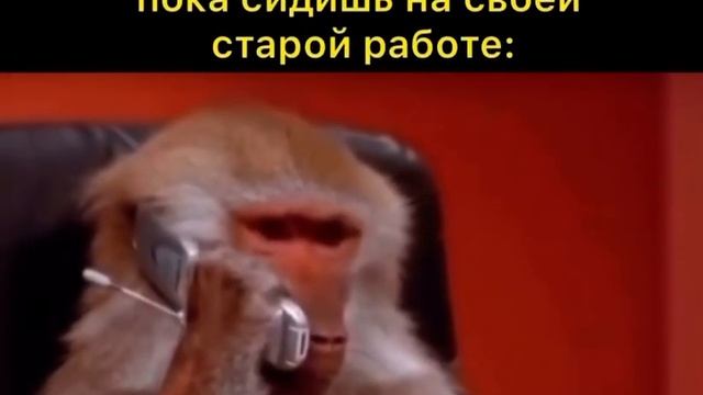 5 января 2023 г. смотреть онлайн