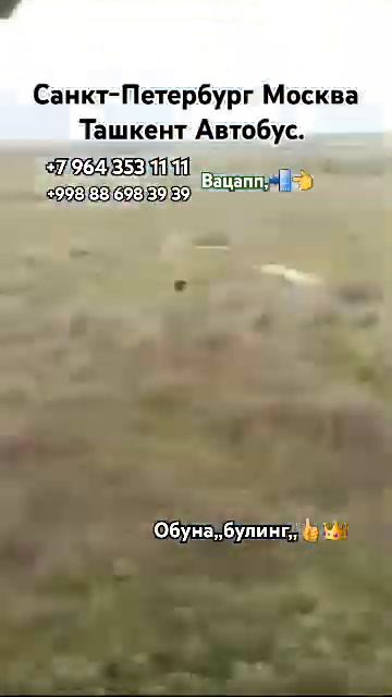 санкт-петербург-ташкент-такси москва-ташкент-такси #у? смотреть онлайн