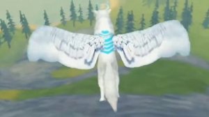 крутые видео из тик-тока wildcraft