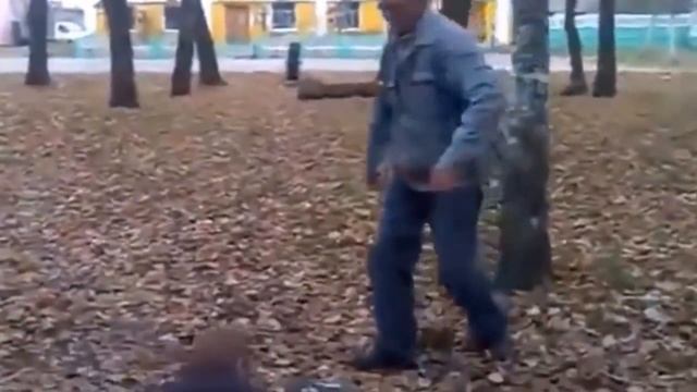 Эпичные драки алкашей смотреть онлайн