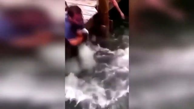 18+ОТБОРНЫЕ ПРИКОЛЫ | ЛУЧШИЕ ПРИКОЛЫ ИЮНЬ 2019 ржака до слез угар прикол - ПРИКОЛЮХА смотреть онлайн