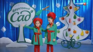 Реклама Фруктовый сад вишня - Новогодняя 2017