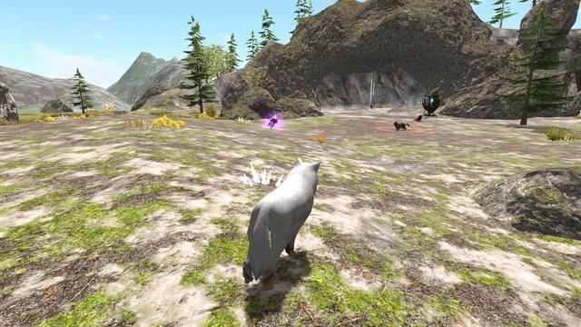 The Wolf/Вид/PvP