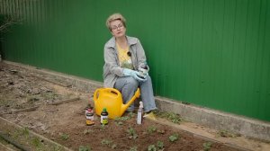 Клубника весной   сделайте это немедленно!