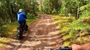 Курьерский электровелосипед в лесу для деда