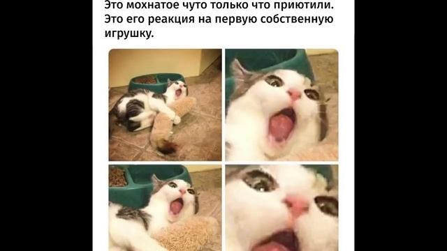 Лютые приколы Я НЕ БОЮСЬ ПРИЗРАКОВ угарные мемы смотреть онлайн