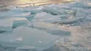 ...RYPT На начало Аркадия Паровозова...