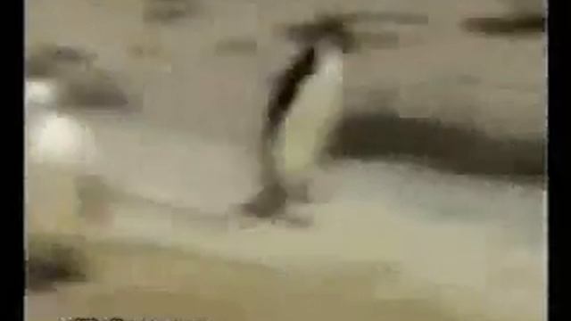 Пятница и Понедельник смотреть онлайн