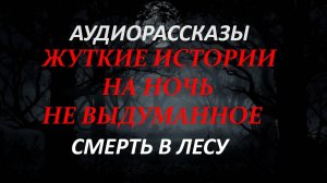 СТРАШНЫЕ РАССКАЗЫ НА НОЧЬ-СМЕРТЬ В ЛЕСУ