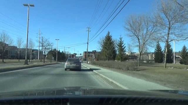 Канада 705: Признают ли НАШИ дипломы в Канаде смотреть онлайн