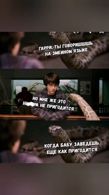 Мемы и приколы из Гарри Поттера смотреть онлайн