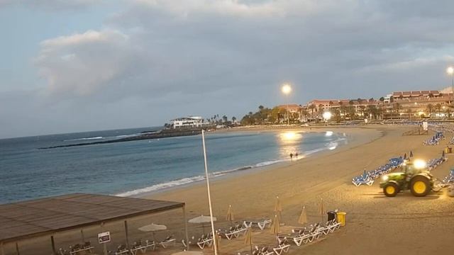 Салат из одуванчика: в чем его польза, как правильно пр смотреть онлайн