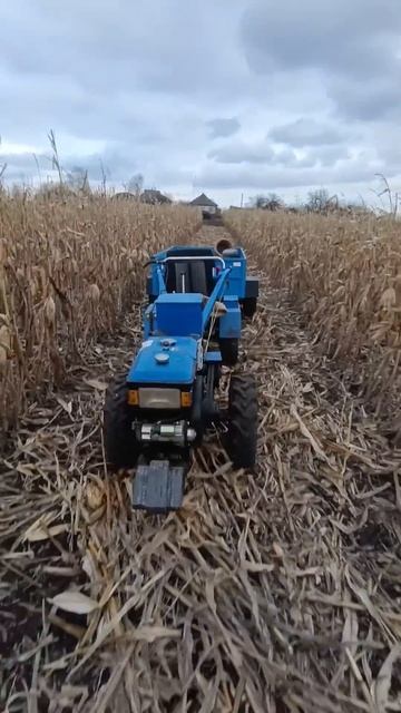 Работа мотоблоком, сезон 2025 #minitractor #traktor #kentavr смотреть онлайн