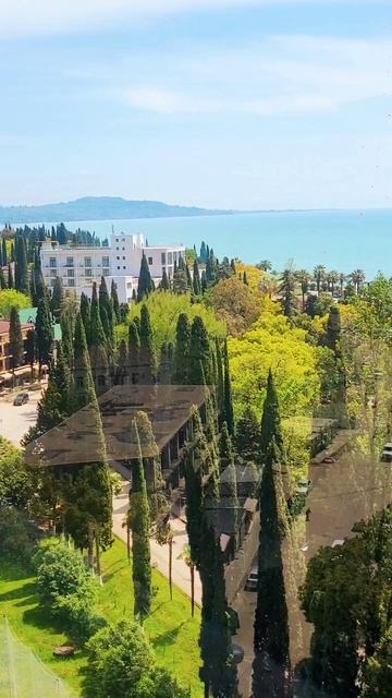 Новый Афон май 2025 смотреть онлайн