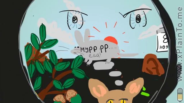 С днём рождения, Саша! смотреть онлайн