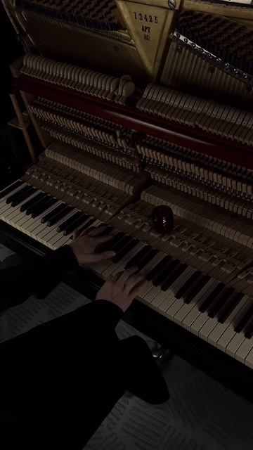 Mariage d'Amour - Paul de Senneville #aesthetic #piano #calm смотреть онлайн