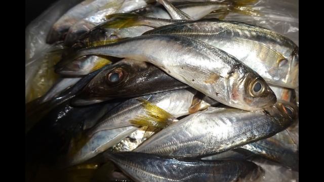 Что можно купить в Турции на 100 лир или 16 евро Продукты цены смотреть онлайн