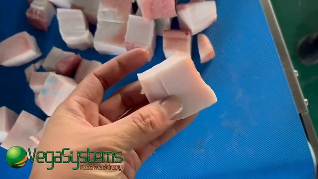 Автоматический укладчик продуктов Vega Product Stacker H500