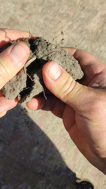 Шляпа на копе #garrett_apex #metaldetecting #коп #история #металл #coin смотреть онлайн