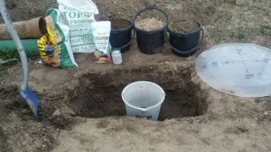 Как правильно посадить виноград