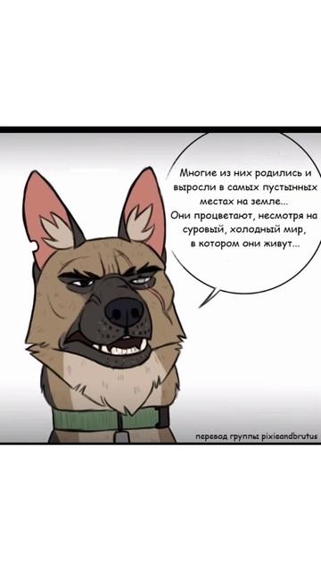 Озвучка комиксов Брут и Пикси Глава 24 смотреть онлайн