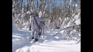 Охота на берлоге Вологда