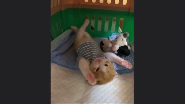 проснулись-потянулись смотреть онлайн
