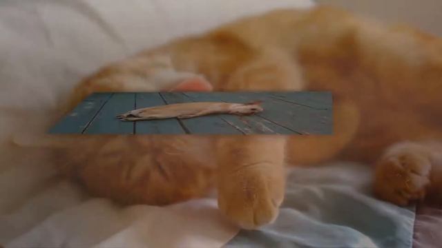 Поздравления с днем лентяя!!! смотреть онлайн