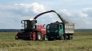 Массовая заготовка сенажа / ПАЛЕССЕ FS80-2, 2X МАЗ 5551, БЕЛА?