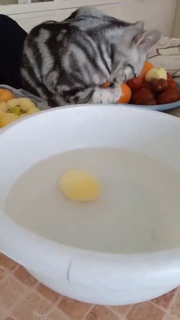 Хочется картошки, но уж слишком мокро)))