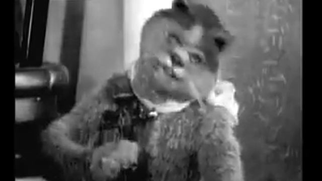 Кот-мистификатор и Мышь-эпилептик.mp4