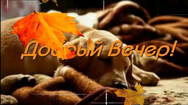 💛💛💛Добрый Вечер! Счастье в Дом - Музыкальное Пожелание смотреть онлайн