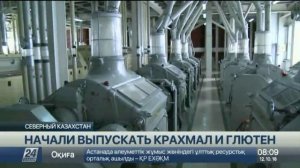 Завод по производству глютена и крахмала запустили в ?