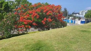 Хулхумале центральный парк