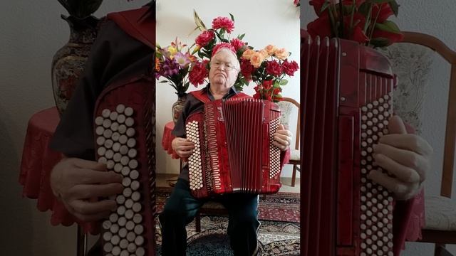 Чёрная роза. смотреть онлайн