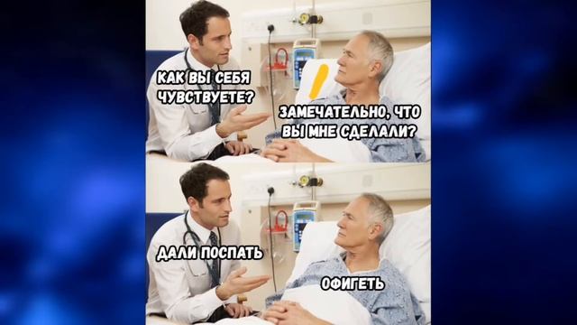 Лютые приколы || Кот пытается сказать на итальянском смотреть онлайн