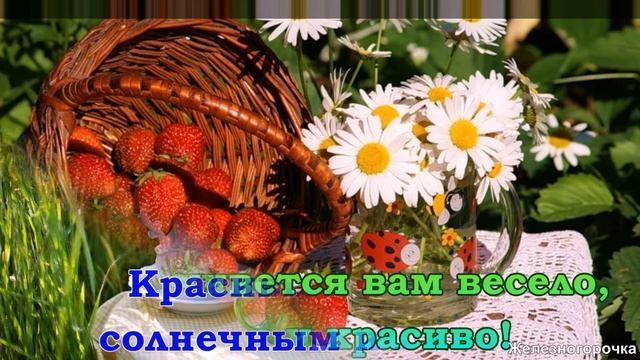 Доброе утро и хорошего дня