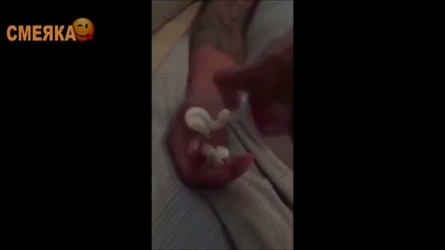 Смотреть всем приколы #4