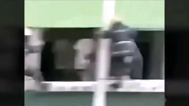 Мега ржач подборка лучшие приколы над людьми и животными 2014 декабрь угар смотреть онлайн