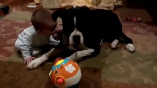 BABY LAUGH/COMEDY/FUN/ПРИКОЛЫ/ДЕТСКИЙ СМЕХ/УГАРНЫЕ ВИДЕО/ВЕСЕЛО/СМОТРЕТЬ ВСЕМ.... смотреть онлайн
