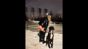 Попробуй не кончить на Аринян | Метроном