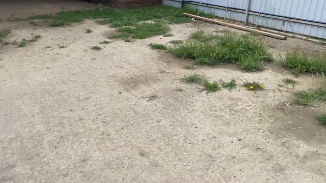 1239❤️Малышей прибавилось и хлопот/ Ленивые голубцы/ В? смотреть онлайн