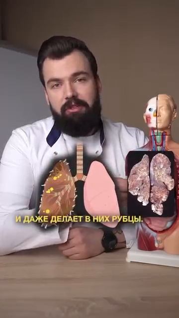 Вредные парилки смотреть онлайн