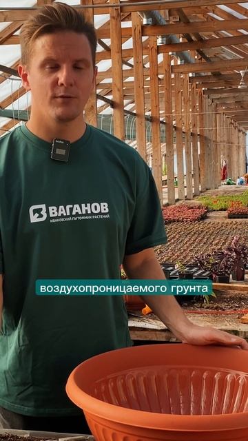 Грунт для цветов — делаем правильный грунт для кашпо ? смотреть онлайн