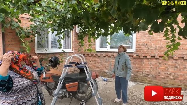 УБОРКА ВО ДВОРЕ / ОБРЕЗАЛИ ПОЗДНИЙ ВИНОГРАД / УБРАЛИ ОГ смотреть онлайн